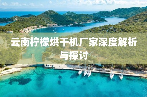 云南柠檬烘干机厂家深度解析与探讨