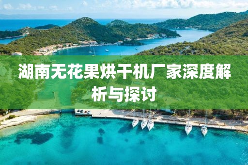 湖南无花果烘干机厂家深度解析与探讨