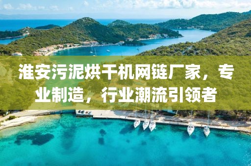 淮安污泥烘干机网链厂家，专业制造，行业潮流引领者