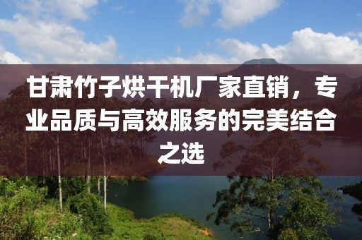 甘肃竹子烘干机厂家直销，专业品质与高效服务的完美结合之选