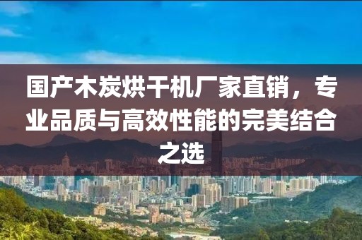 国产木炭烘干机厂家直销，专业品质与高效性能的完美结合之选