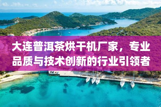 大连普洱茶烘干机厂家，专业品质与技术创新的行业引领者