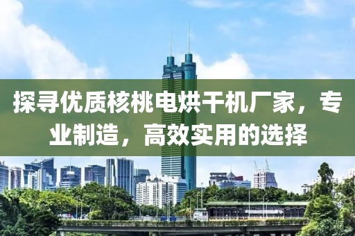 探寻优质核桃电烘干机厂家，专业制造，高效实用的选择