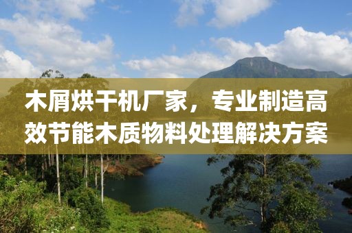 木屑烘干机厂家，专业制造高效节能木质物料处理解决方案