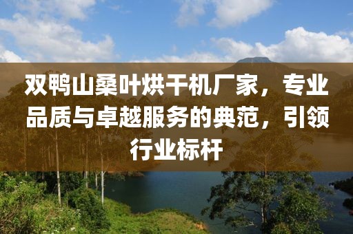 双鸭山桑叶烘干机厂家，专业品质与卓越服务的典范，引领行业标杆