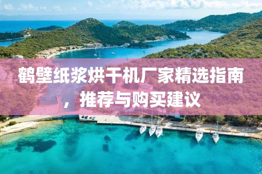 鹤壁纸浆烘干机厂家精选指南，推荐与购买建议