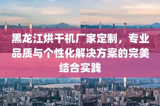 黑龙江烘干机厂家定制，专业品质与个性化解决方案的完美结合实践