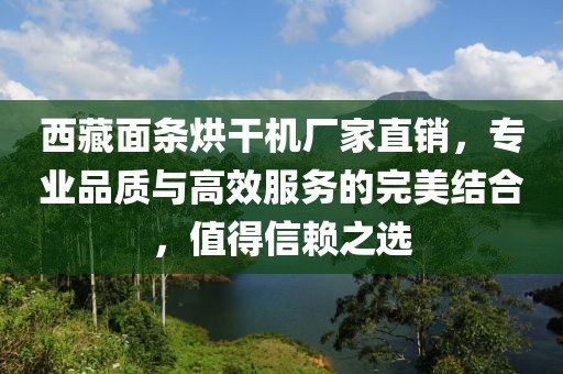 西藏面条烘干机厂家直销，专业品质与高效服务的完美结合，值得信赖之选