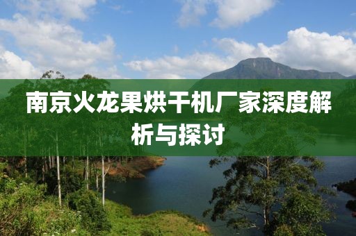 南京火龙果烘干机厂家深度解析与探讨