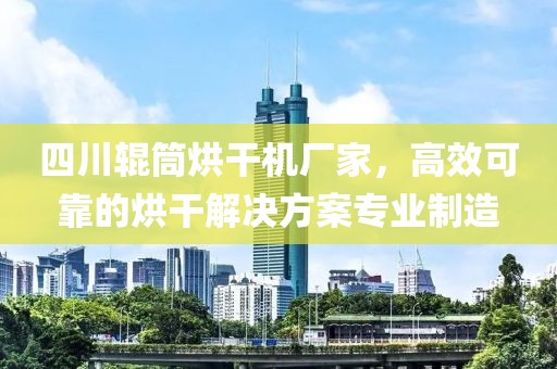 四川辊筒烘干机厂家，高效可靠的烘干解决方案专业制造