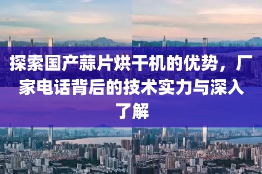 探索国产蒜片烘干机的优势，厂家电话背后的技术实力与深入了解