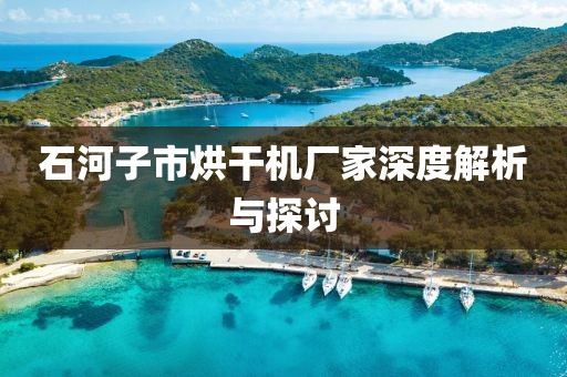 石河子市烘干机厂家深度解析与探讨