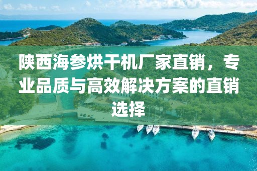 陕西海参烘干机厂家直销，专业品质与高效解决方案的直销选择