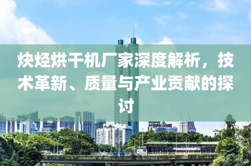 炔烃烘干机厂家深度解析，技术革新、质量与产业贡献的探讨