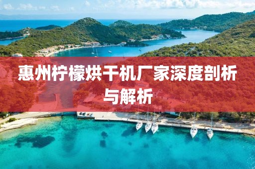 惠州柠檬烘干机厂家深度剖析与解析