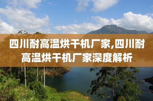 四川耐高温烘干机厂家,四川耐高温烘干机厂家深度解析