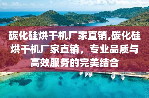 碳化硅烘干机厂家直销,碳化硅烘干机厂家直销，专业品质与高效服务的完美结合