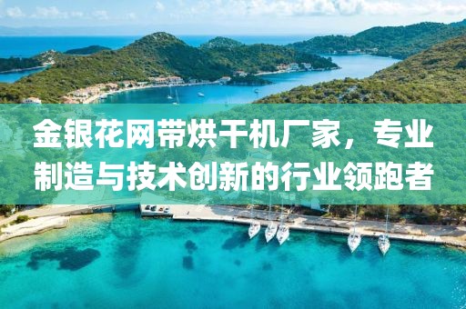 金银花网带烘干机厂家，专业制造与技术创新的行业领跑者