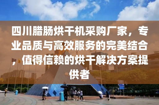 四川腊肠烘干机采购厂家，专业品质与高效服务的完美结合，值得信赖的烘干解决方案提供者