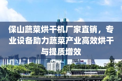 保山蔬菜烘干机厂家直销，专业设备助力蔬菜产业高效烘干与提质增效