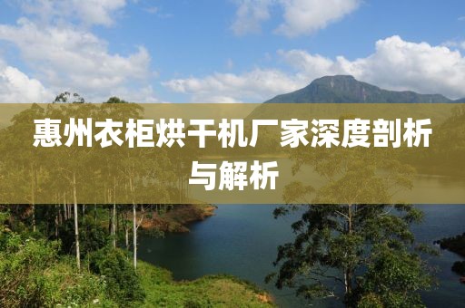 惠州衣柜烘干机厂家深度剖析与解析