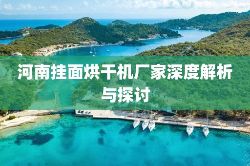 河南挂面烘干机厂家深度解析与探讨