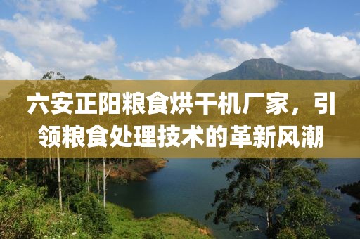 六安正阳粮食烘干机厂家，引领粮食处理技术的革新风潮