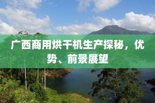 广西商用烘干机生产探秘，优势、前景展望