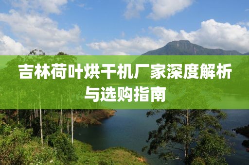 吉林荷叶烘干机厂家深度解析与选购指南