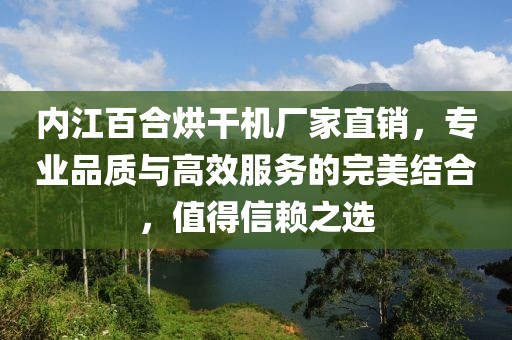 内江百合烘干机厂家直销，专业品质与高效服务的完美结合，值得信赖之选