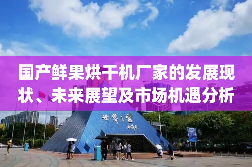 国产鲜果烘干机厂家的发展现状、未来展望及市场机遇分析