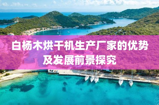 白杨木烘干机生产厂家的优势及发展前景探究