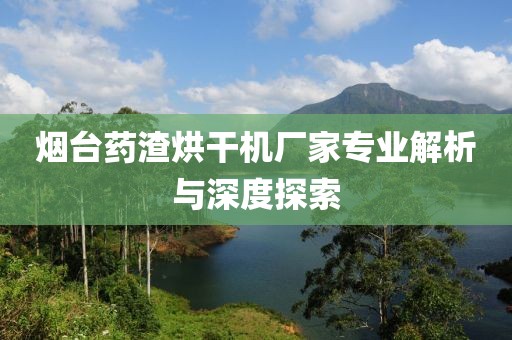 烟台药渣烘干机厂家专业解析与深度探索