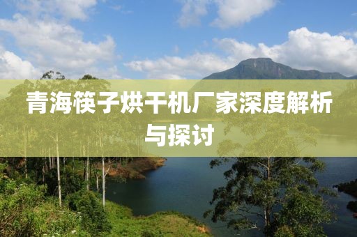 青海筷子烘干机厂家深度解析与探讨