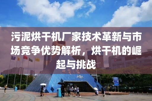 污泥烘干机厂家技术革新与市场竞争优势解析，烘干机的崛起与挑战