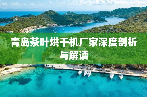 青岛茶叶烘干机厂家深度剖析与解读