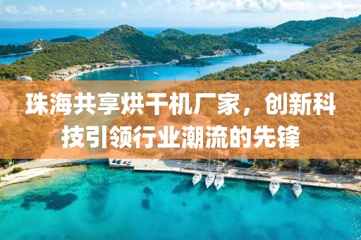 珠海共享烘干机厂家，创新科技引领行业潮流的先锋