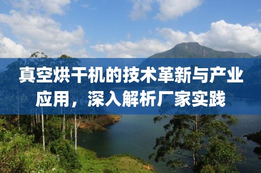 真空烘干机的技术革新与产业应用，深入解析厂家实践