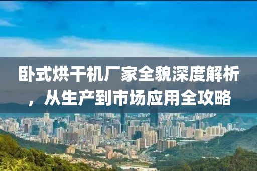 卧式烘干机厂家全貌深度解析，从生产到市场应用全攻略