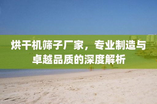 烘干机筛子厂家，专业制造与卓越品质的深度解析