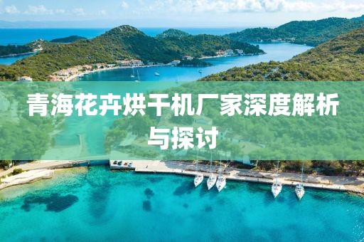 青海花卉烘干机厂家深度解析与探讨