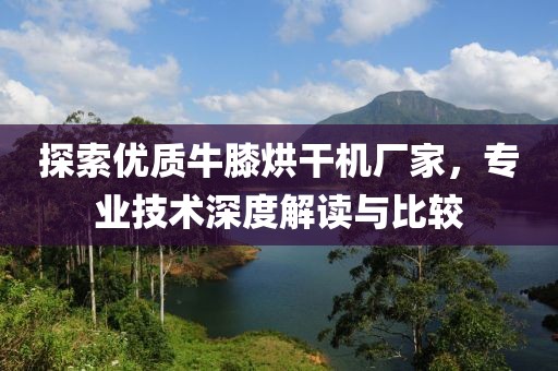 探索优质牛膝烘干机厂家，专业技术深度解读与比较