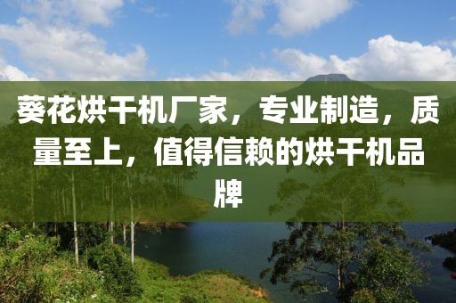 葵花烘干机厂家，专业制造，质量至上，值得信赖的烘干机品牌