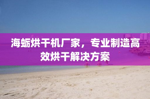 海蛎烘干机厂家，专业制造高效烘干解决方案