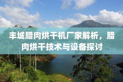 丰城腊肉烘干机厂家解析，腊肉烘干技术与设备探讨