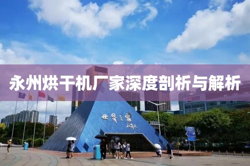 永州烘干机厂家深度剖析与解析