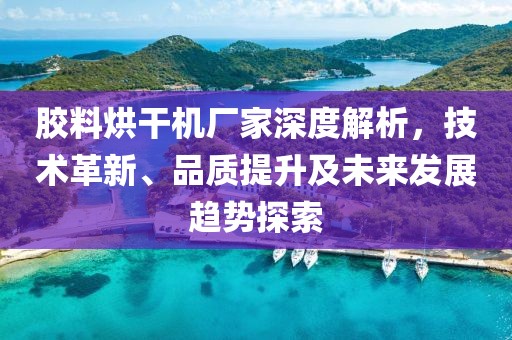 胶料烘干机厂家深度解析，技术革新、品质提升及未来发展趋势探索