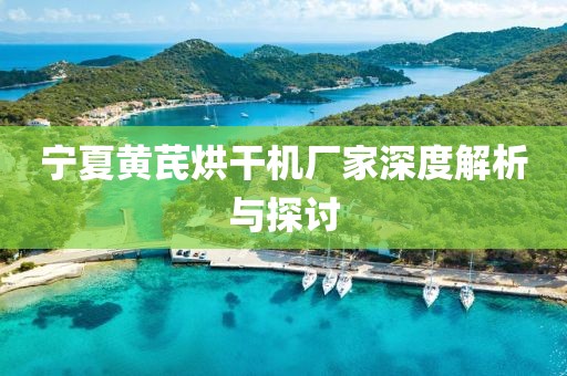 宁夏黄芪烘干机厂家深度解析与探讨