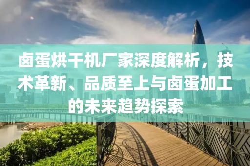 卤蛋烘干机厂家深度解析，技术革新、品质至上与卤蛋加工的未来趋势探索