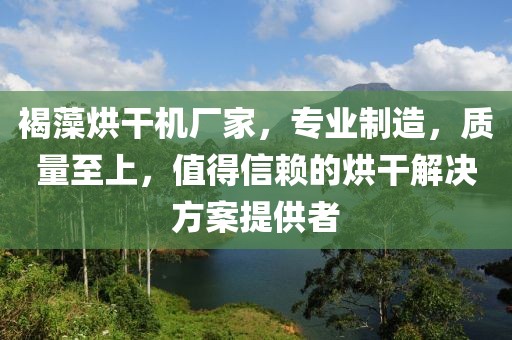 褐藻烘干机厂家，专业制造，质量至上，值得信赖的烘干解决方案提供者